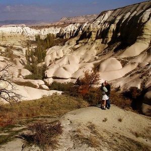 Meet your Posher, Carol